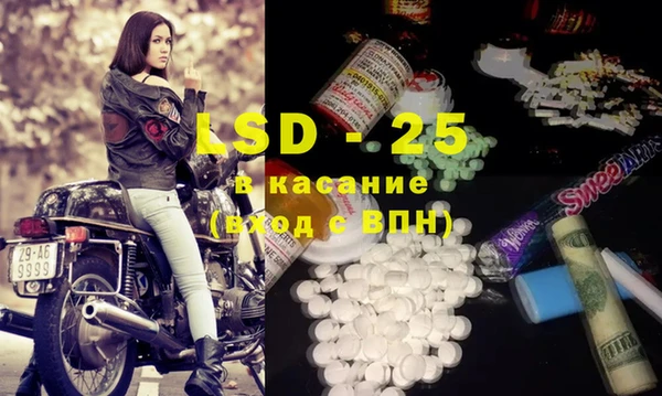 шишки Алзамай